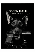 Essentials Fear Of God Poster