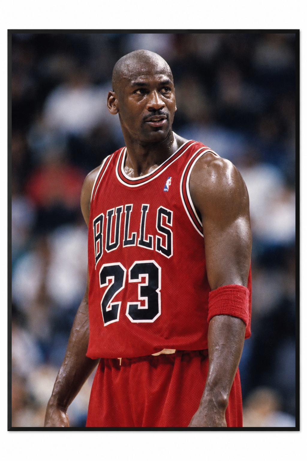Michael Jordan Poster
