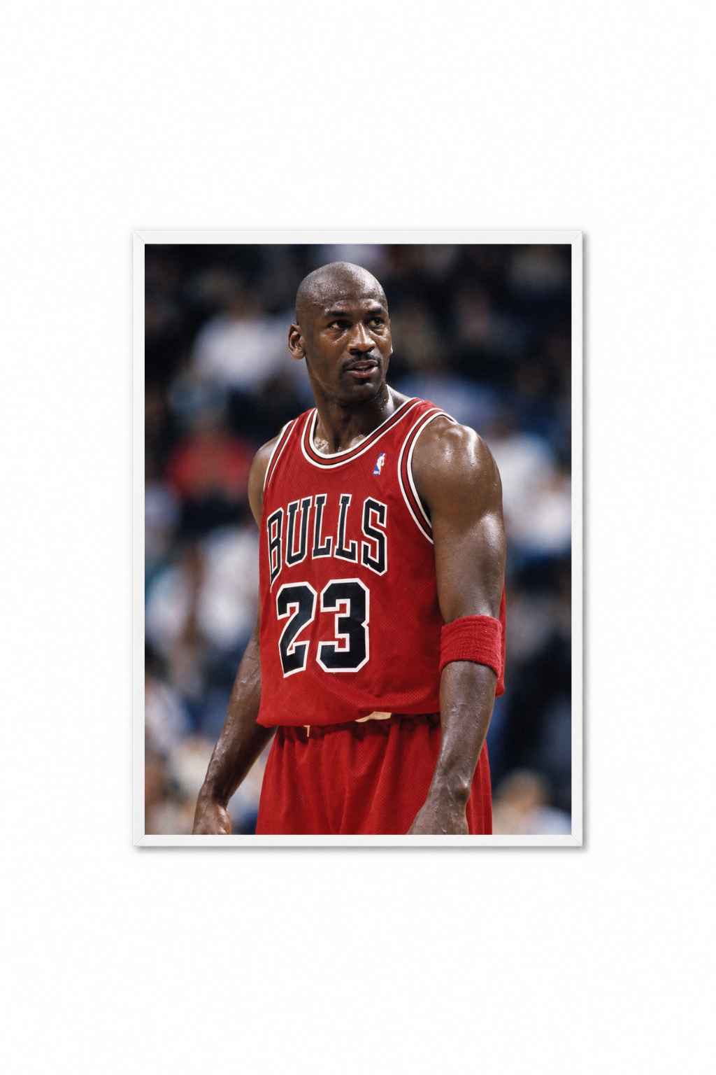 Michael Jordan Poster